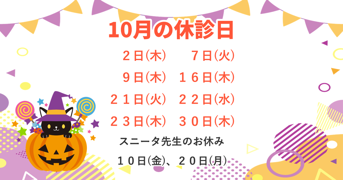 10月の休診日案内：休診日は2日(木)、7日(火)、9日(木)、16日(木)、21日(火)、22日(水)、23日(木)、30日(木)。また、スニータ先生のお休みは10日(金)と20日(月)。ハロウィンのカボチャと黒猫のイラストが描かれている。